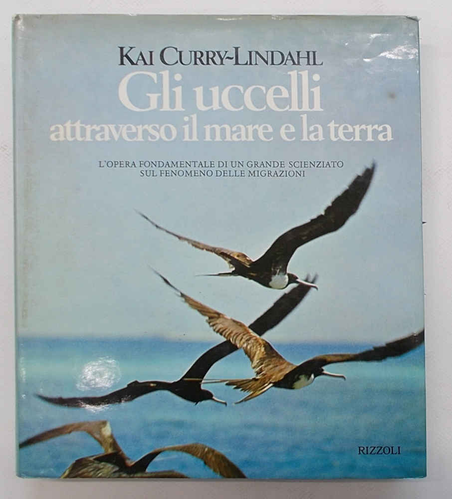 Gli uccelli attraverso il mare e la terra.