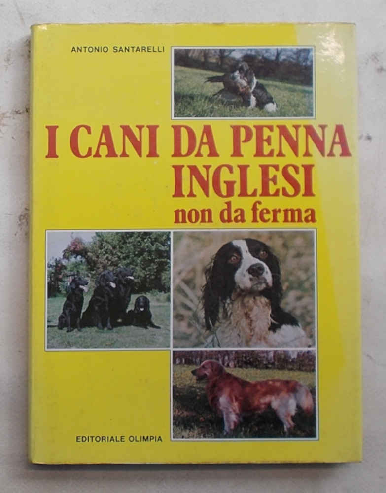 I cani da penna inglesi non da ferma. (Spaniels e …