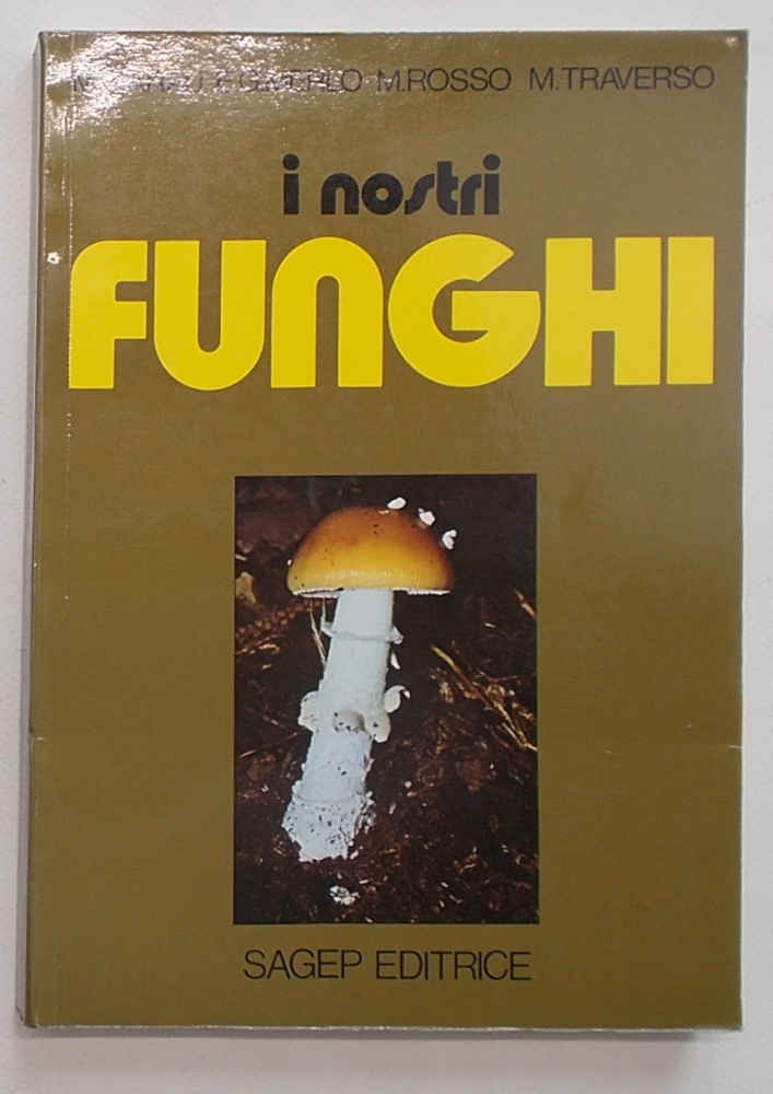 I nostri funghi.