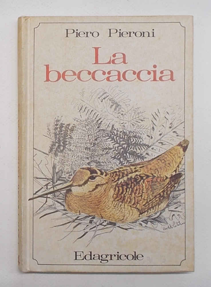 La beccaccia.