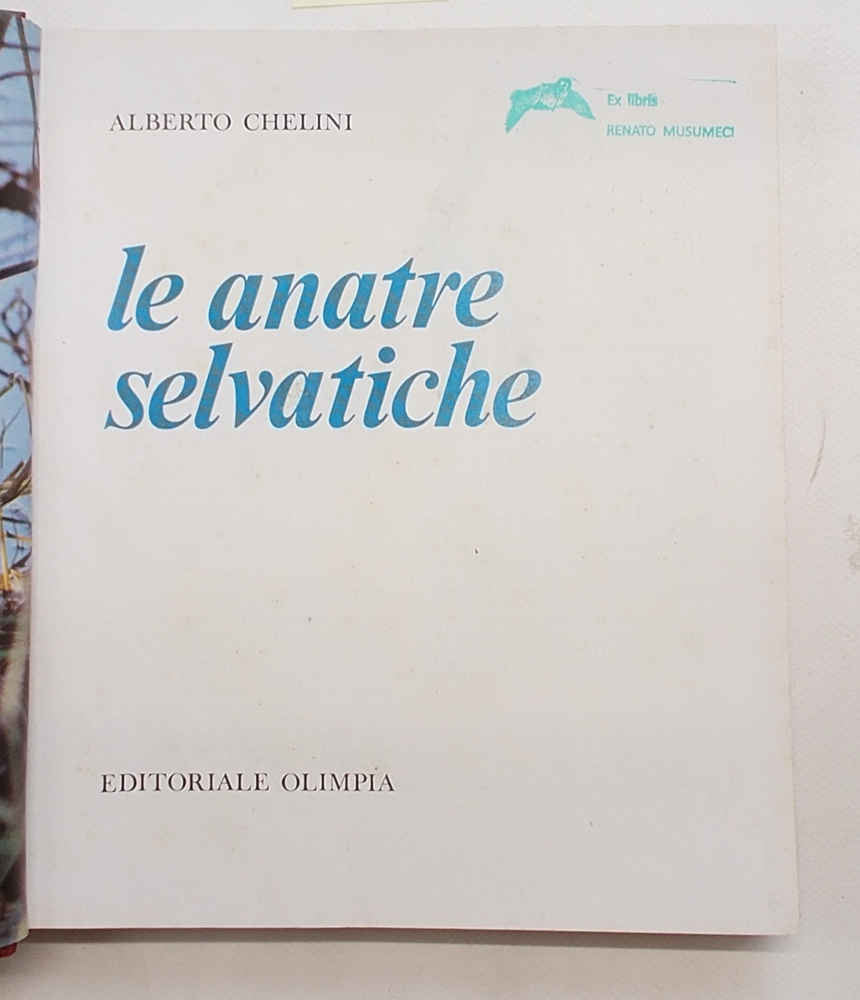 Le anatre selvatiche.