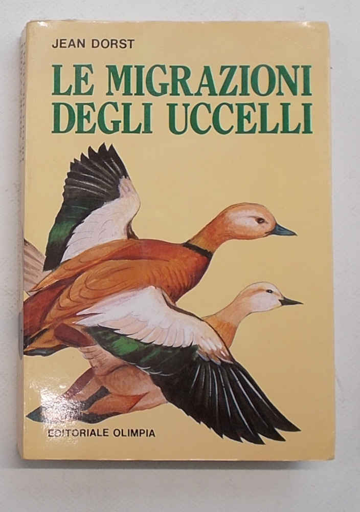 Le migrazioni degli uccelli.