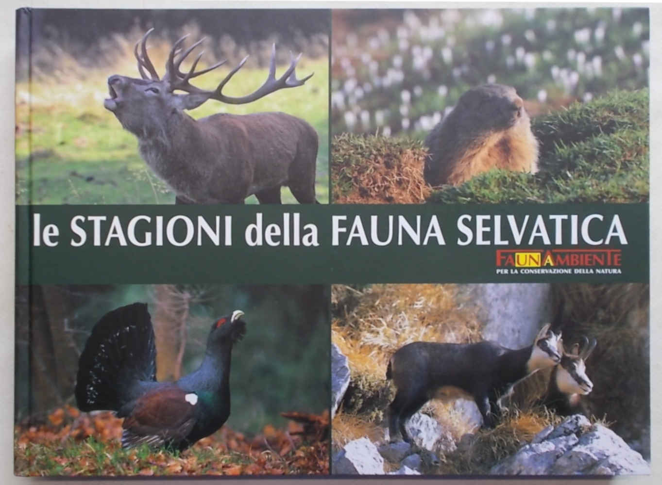 Le stagioni della fauna selvatica i colori della natura.