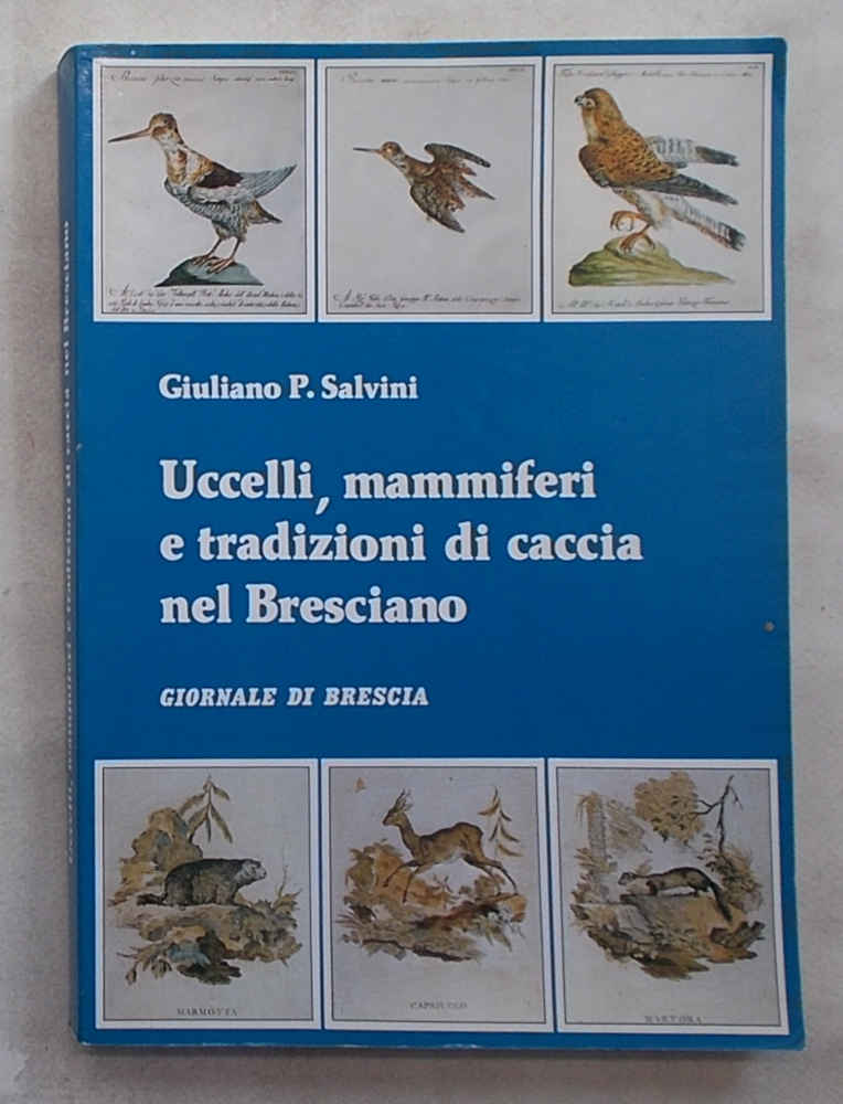 Uccelli, mammiferi e tradizioni di caccia nel Bresciano.