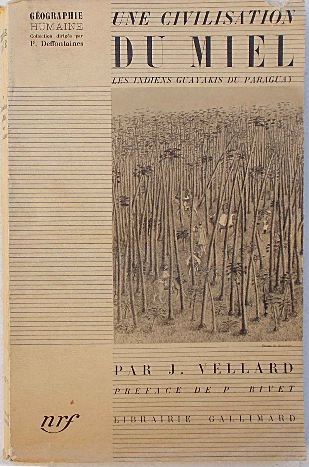 Une civilization du miel. Les Indies Guayakis du P