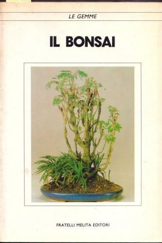 Il bonsai
