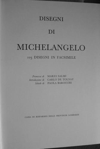 Disegni di Michelangelo. 103 disegni in facsimile