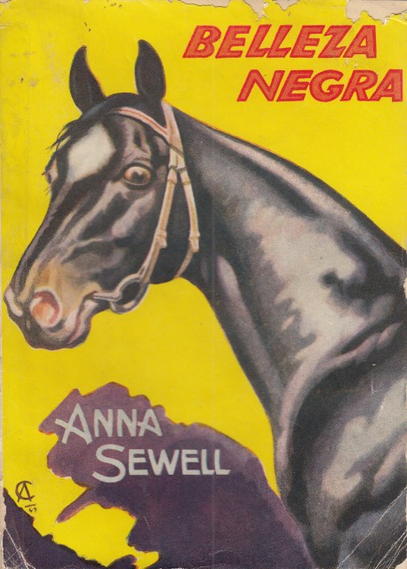 BELLEZA NEGRA
