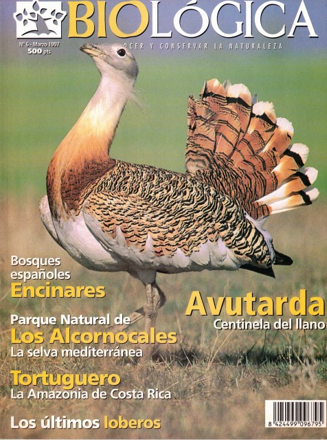 BIOLÓGICA Nº6. Marzo 1997. Conocer y conservar la naturaleza. (Avutarda; …