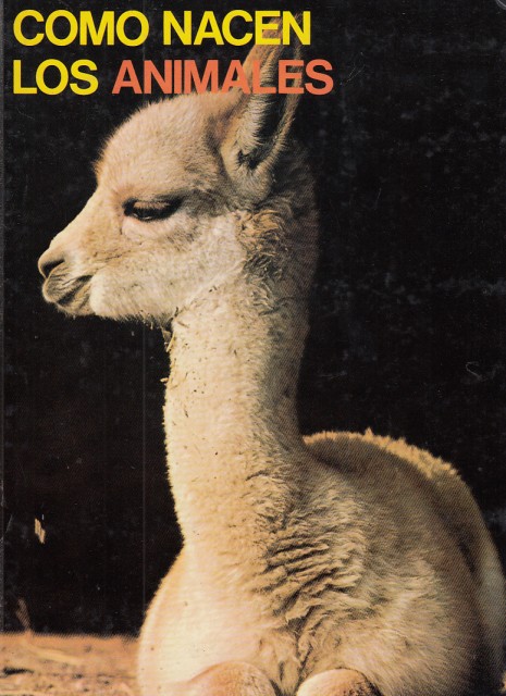 Como nacen los animales