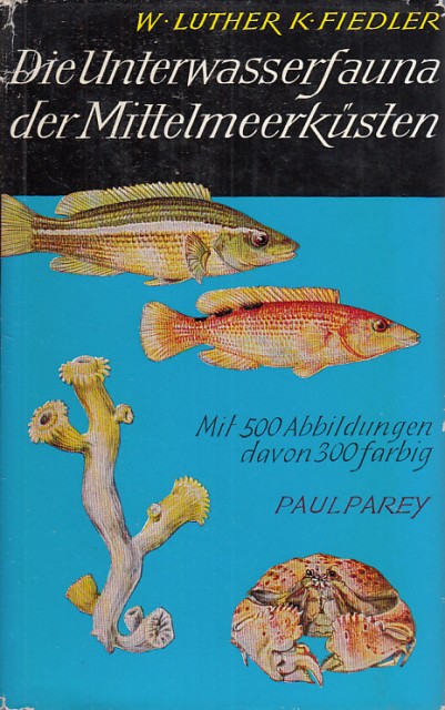 DIE UNTERWASSERFAUNA DER MITTELMEERKÜSTEN