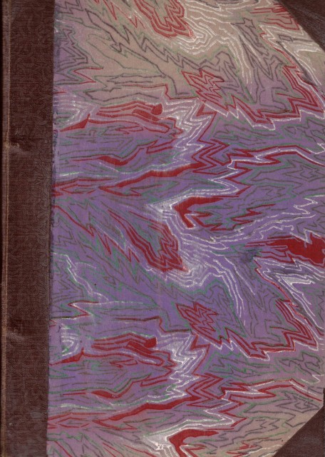 DOS AÑOS DE VACACIONES; PEDRO EL SIMPLE