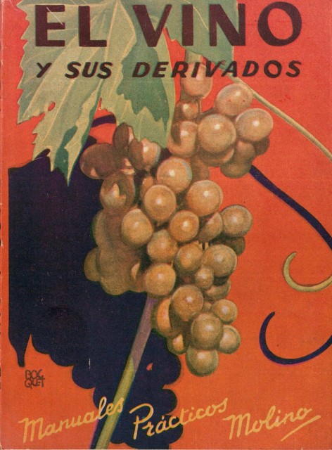 El vino y sus derivados