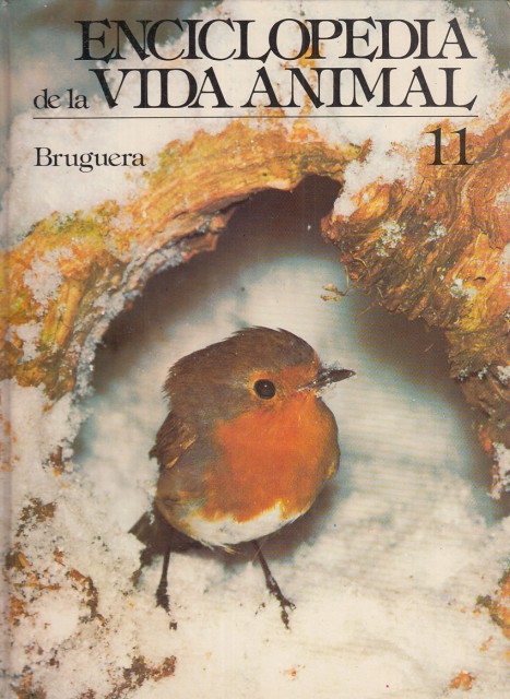 ENCICLOPEDIA DE LA VIDA ANIMAL. TOMO 11. MANTIS/MORENA