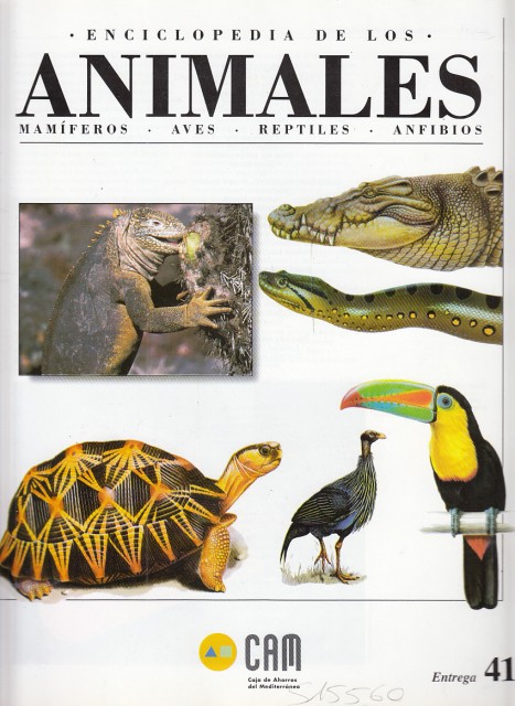 ENCICLOPEDIA DE LOS ANIMALES 41 (Comportamiento de los reptiles y …