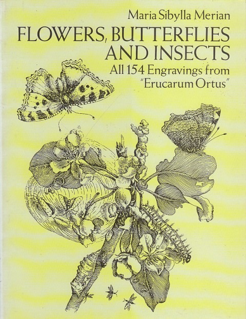 FLOWERS, BUTTERFLIES AND INSECTS