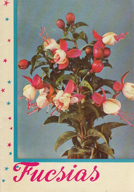 FUCSIAS