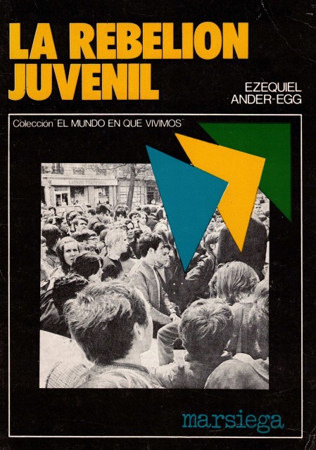 LA REBELION JUVENIL