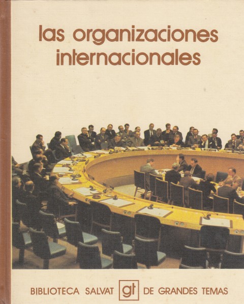 Las organizaciones internacionales