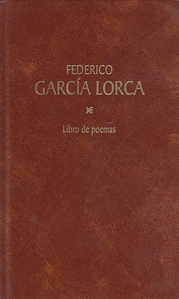 LIBRO DE POEMAS