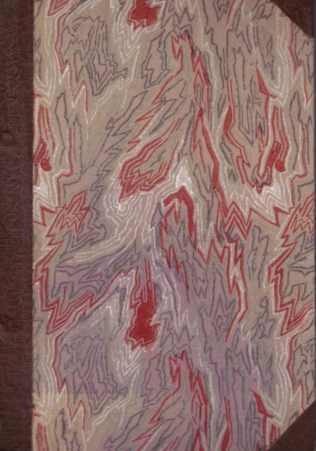 LOS HIJOS DEL CAPITAN GRANT; EN EL PAIS DE LAS …