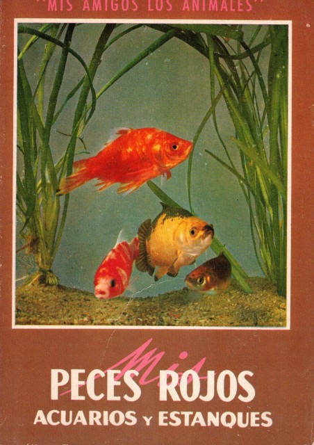 Mis peces rojos (acuarios y estanques)