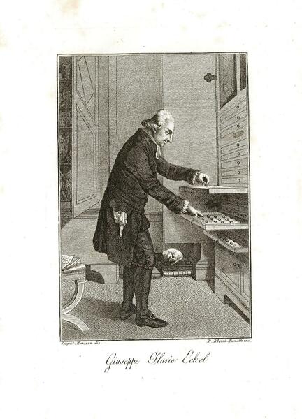 Giuseppe Ilario Eckel
