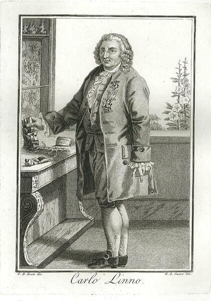 Carlo Linno