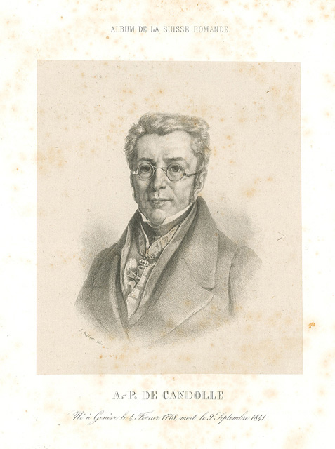 A. - P. De Candolle - Ne' à Geneve le …