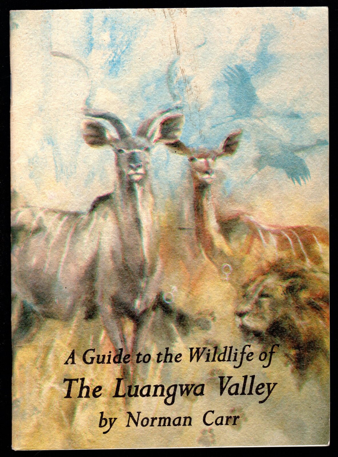 A guide the Wildlife of The Luangwa Valley