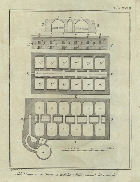 Abbildung eines ofens in welchem Eyer ausgebrutet werden