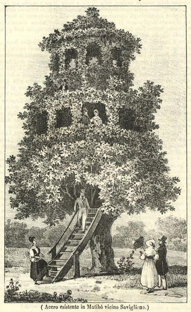 Acero esistente in Matibò vicino Savigliano