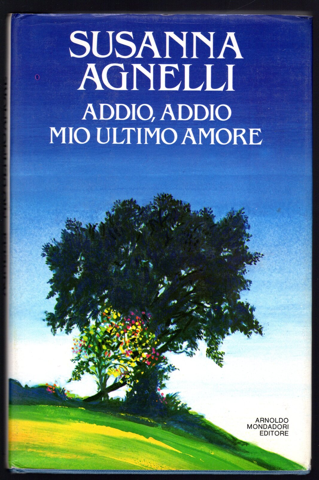 Addio, addio mio ultimo amore