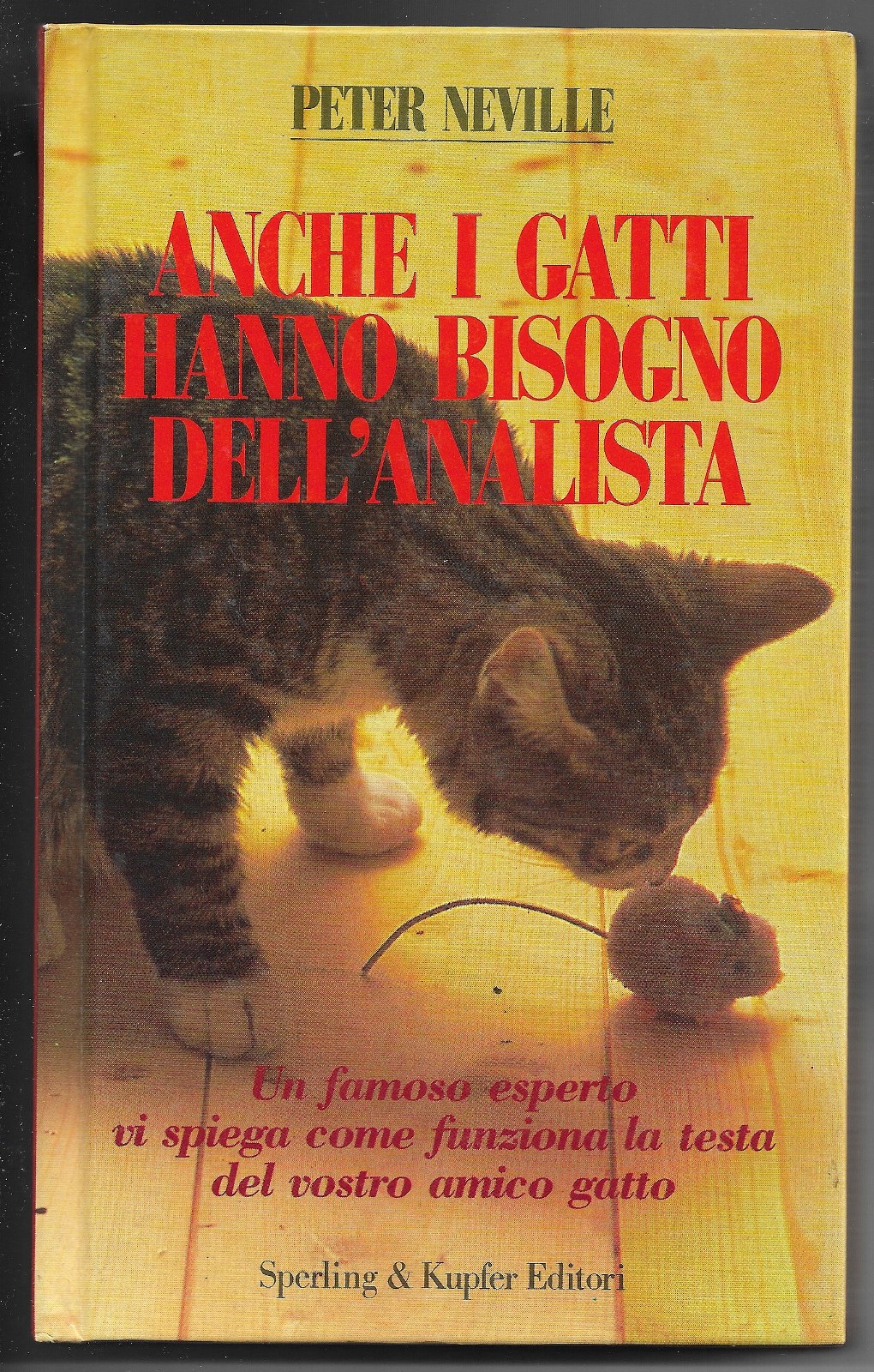Anche i gatti hanno bisogno dell'analista