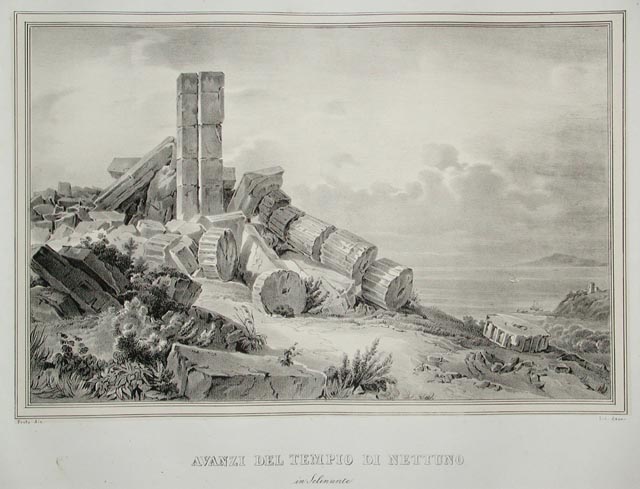 Avanzi del Tempio di Nettuno / in Selinunte