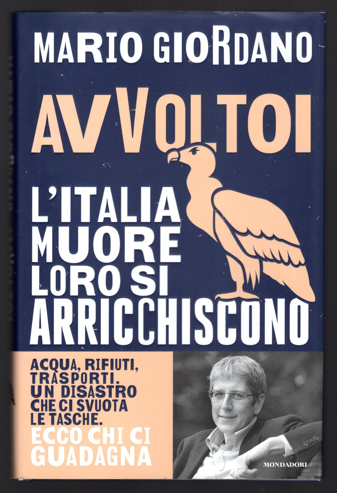 Avvoltoi. L'Italia muore loro si arricchiscono.