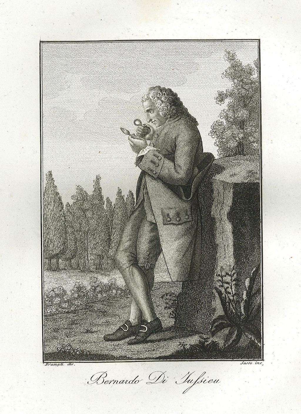 Bernardo Di Iussieu