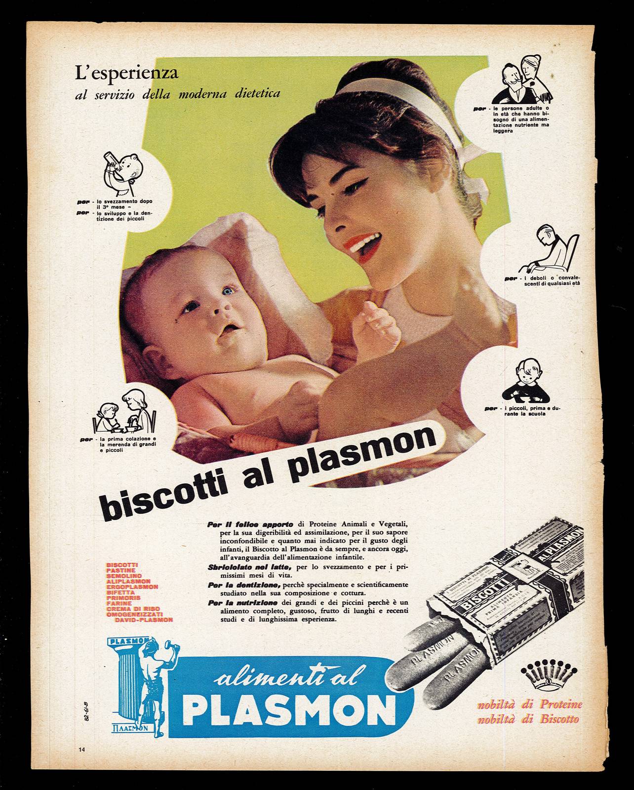 Biscotti al Plasmon