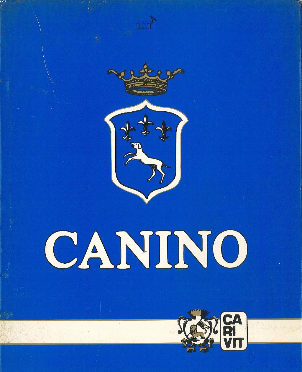 Canino