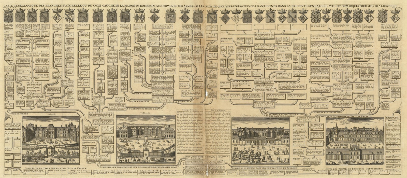 Carte genealogique des branches naturelles ou du cote gauche de …