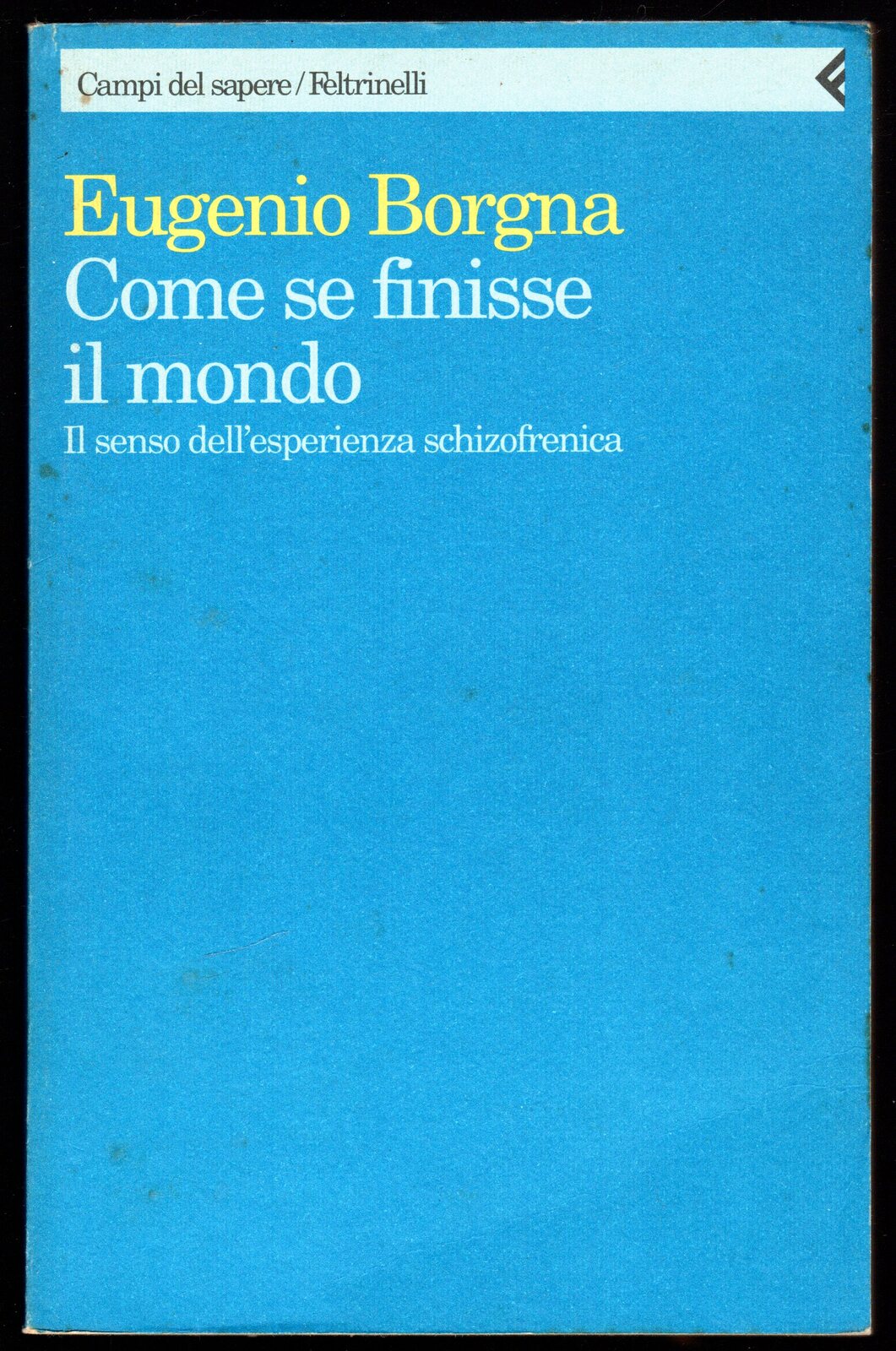 Come se finisse il mondo.Il senso dell'esperienza schizofrenica
