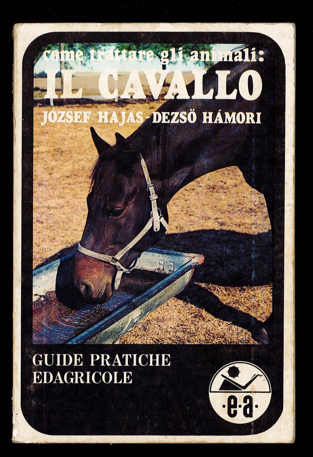 Come trattare gli animali. Il Cavallo