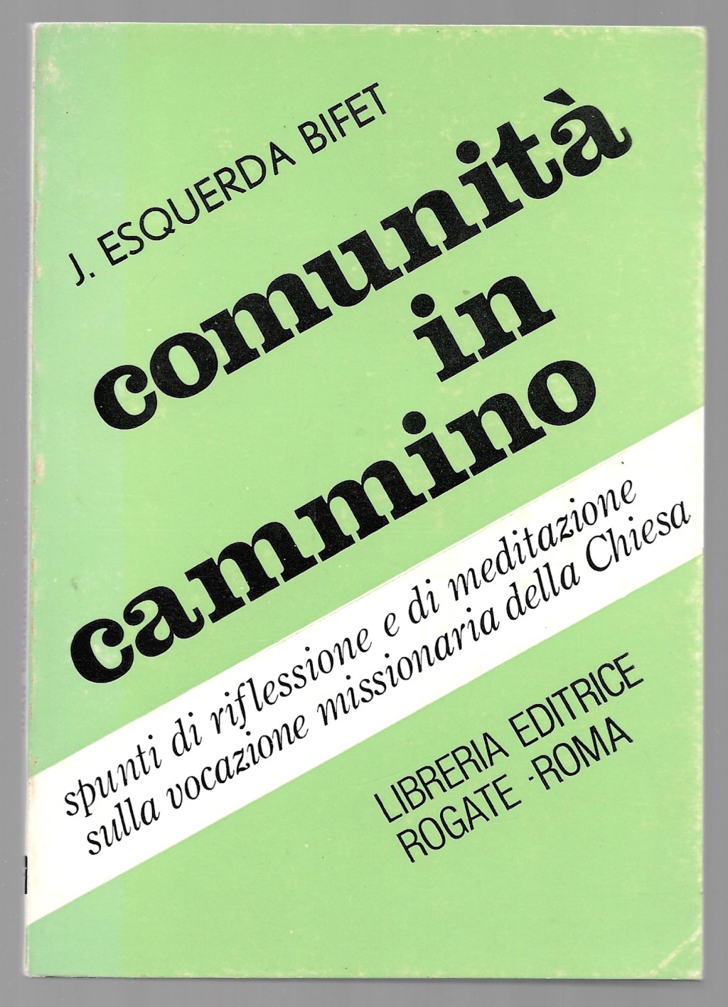 Comunità in cammino - Spunti di riflessione.