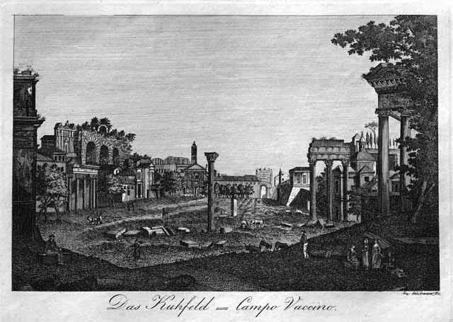 Das Kuhfeld = Campo Vaccino