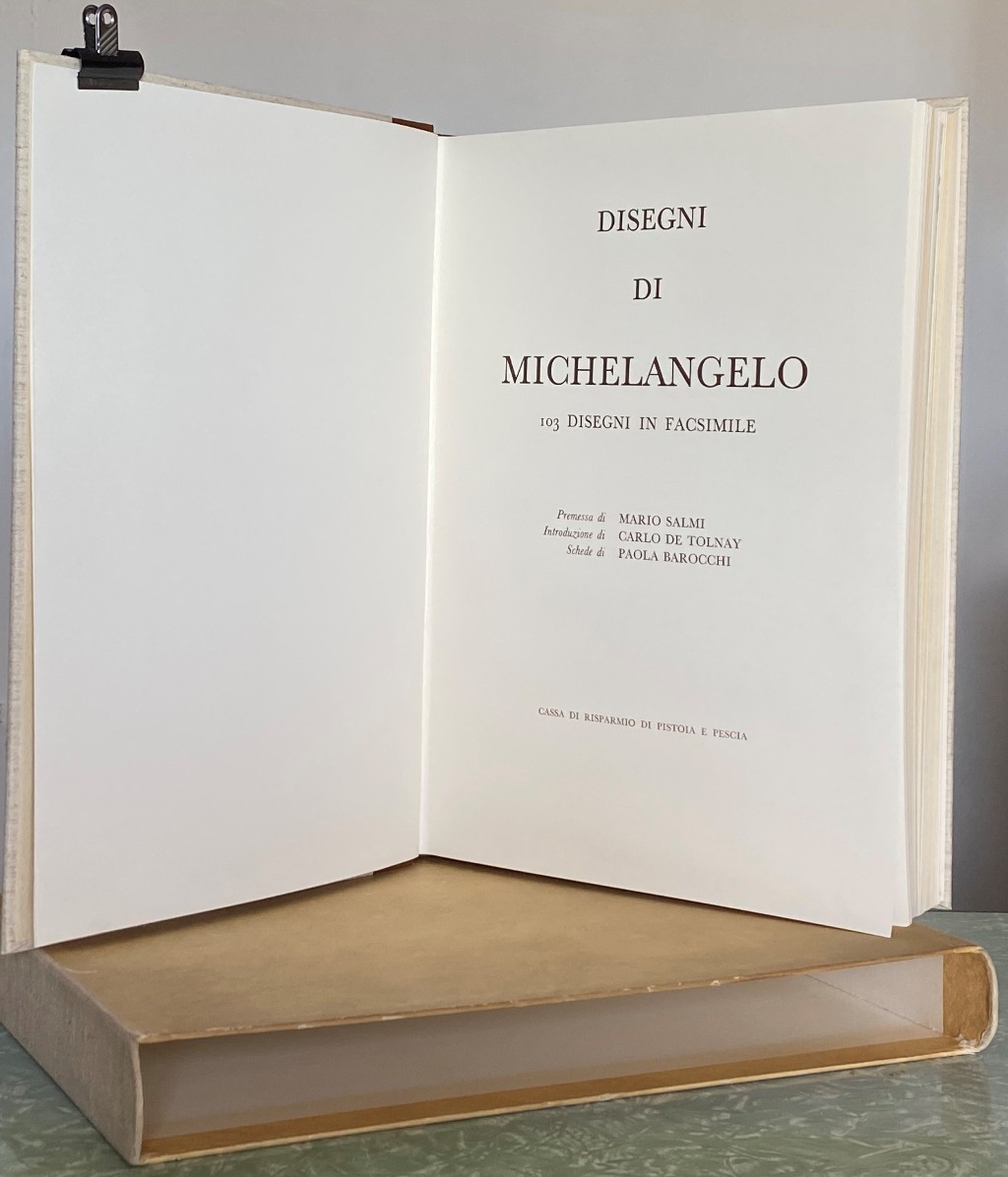 Disegni di Michelangelo 103 disegni in facsimile