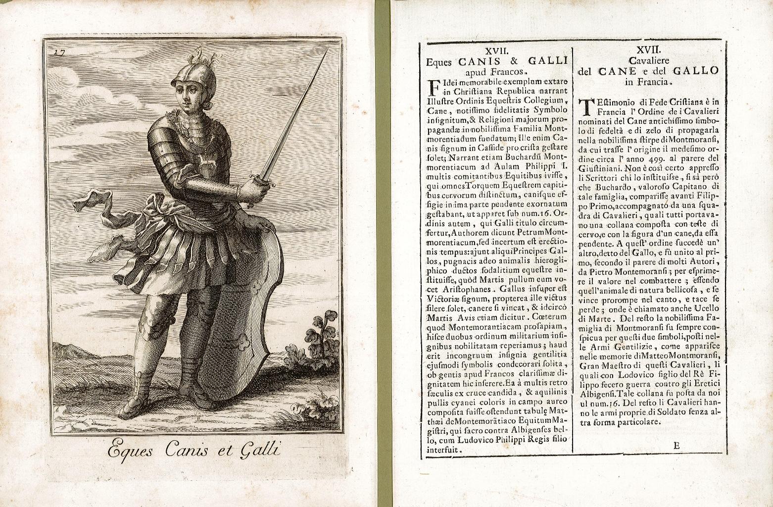Eques Canis et Galli