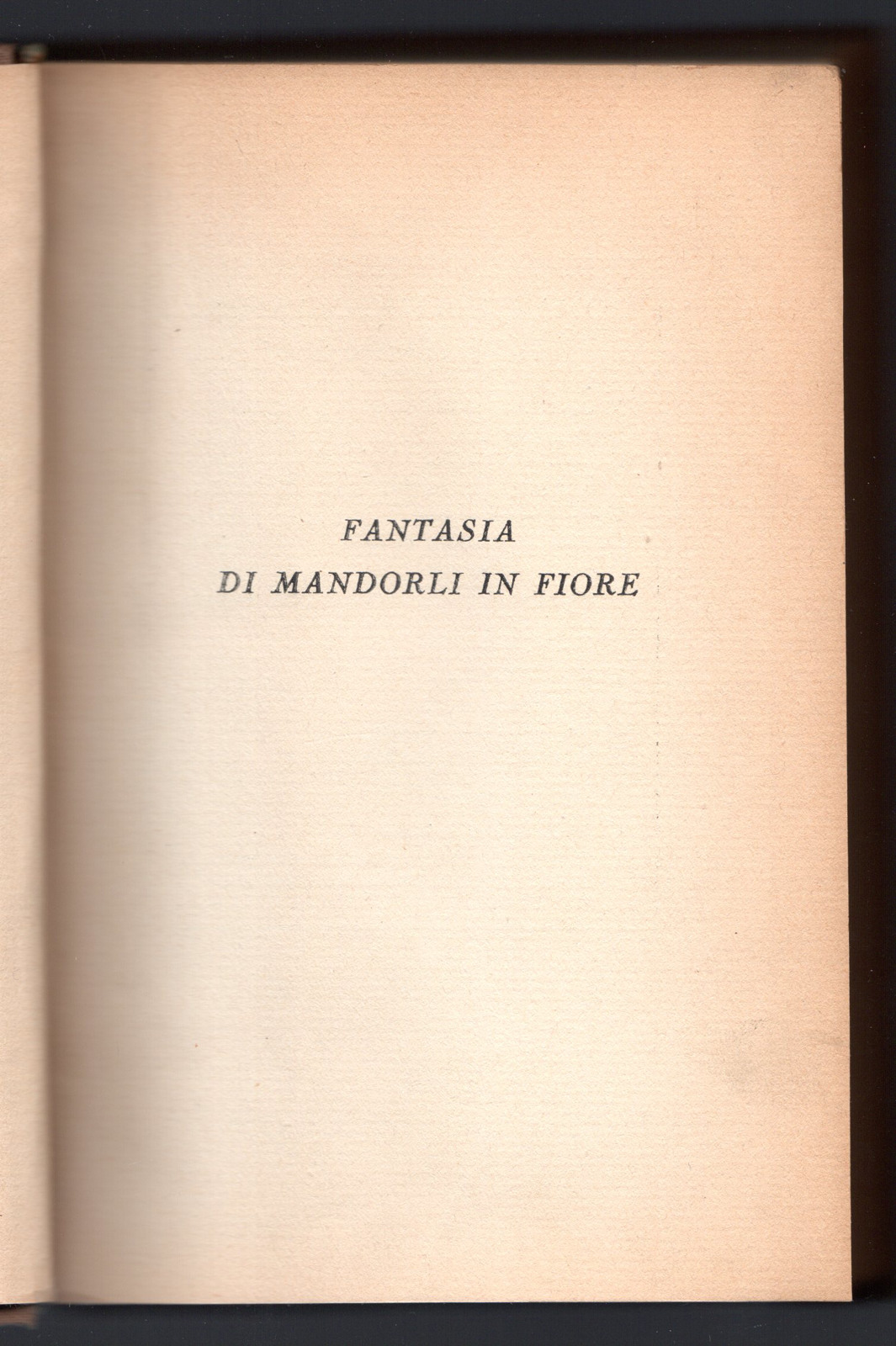 Fantasia di Mandorli in fiore