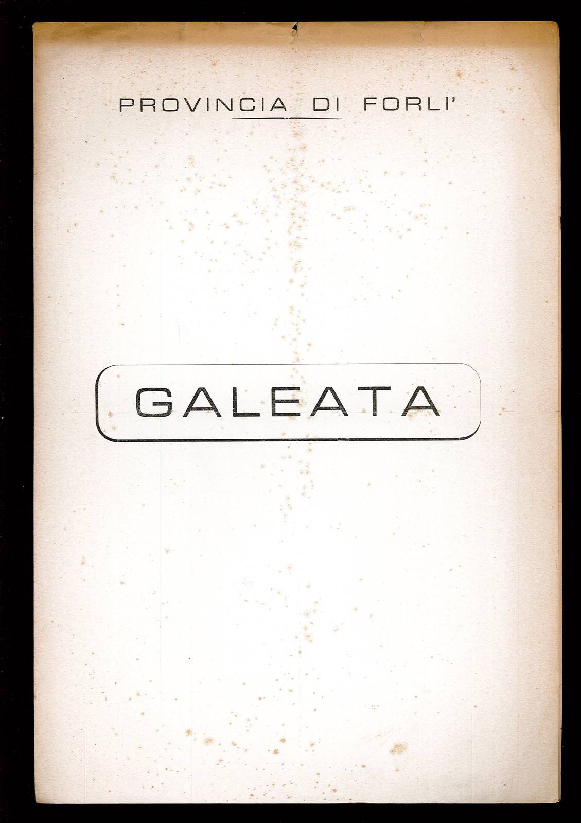 Galeata