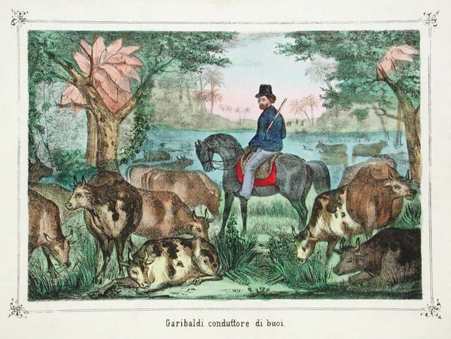 Garibaldi conduttore di buoi