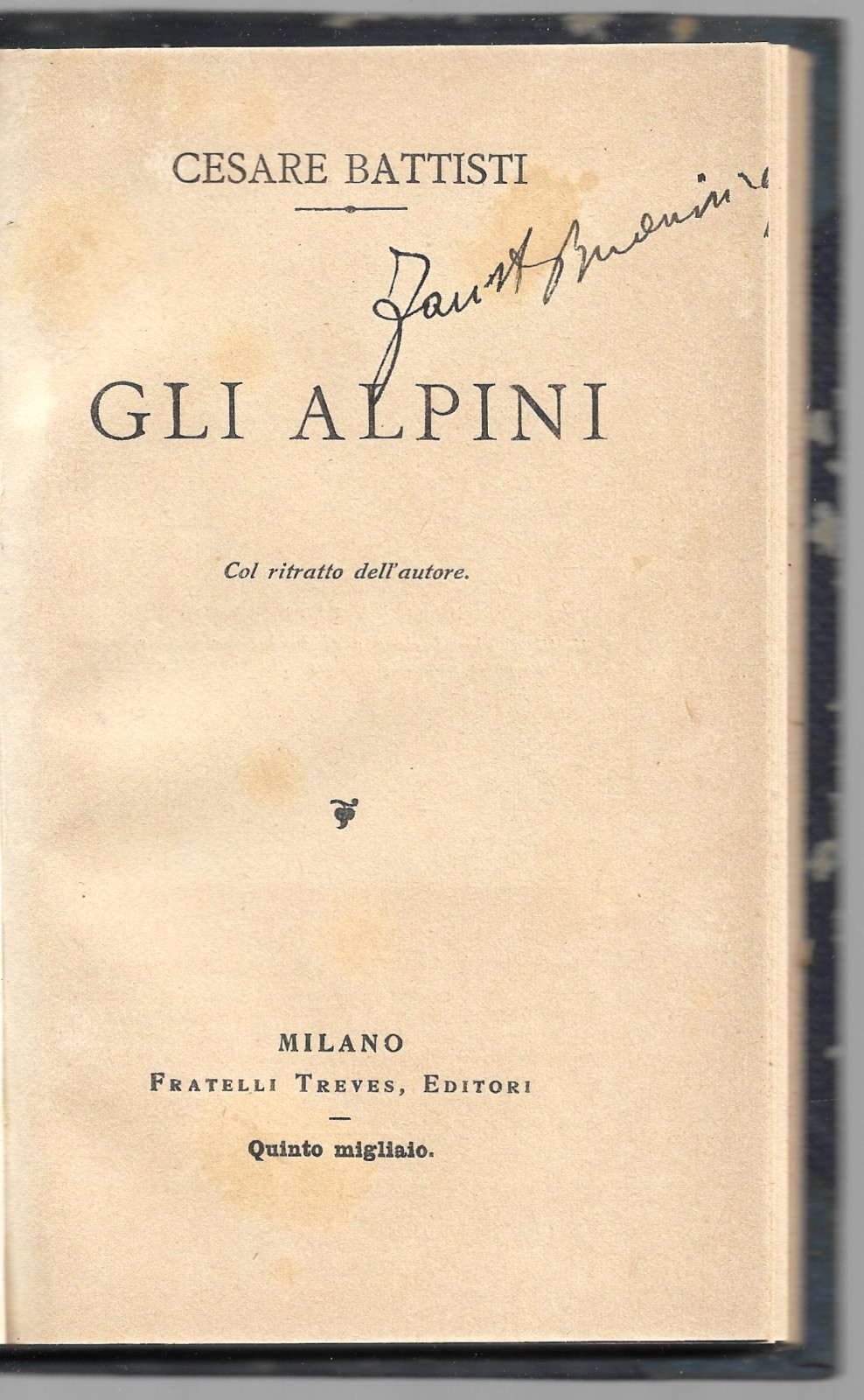 Gli Alpini